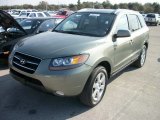 2009 Hyundai Santa Fe Limited