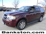 2010 Royal Red Metallic Ford Expedition XLT #59319458