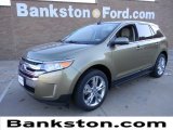 Ginger Ale Metallic Ford Edge in 2012
