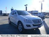 2010 Mercedes-Benz ML 350 4Matic