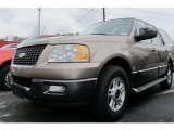 2003 Arizona Beige Metallic Ford Expedition XLT 4x4 #59375933