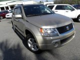 Clear Beige Metallic Suzuki Grand Vitara in 2006