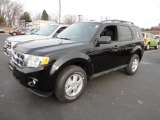 2012 Ebony Black Ford Escape XLT 4WD #59375468