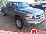 2011 Mineral Gray Metallic Dodge Dakota Big Horn Extended Cab #59375280