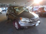 2010 Crystal Black Pearl Honda CR-V EX-L AWD #59415874