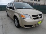 2010 Dodge Grand Caravan SE