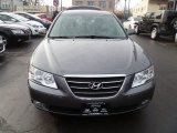 2009 Willow Gray Hyundai Sonata SE V6 #59416087