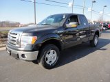 2012 Tuxedo Black Metallic Ford F150 XLT SuperCab 4x4 #59415304