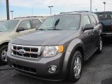 2012 Sterling Gray Metallic Ford Escape XLT V6 4WD #59478782