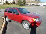 2012 Toreador Red Metallic Ford Escape XLT V6 4WD #59478531