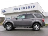 2012 Sterling Gray Metallic Ford Escape Limited V6 4WD #59478468