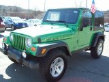 2004 Electric Lime Green Pearl Jeep Wrangler Rubicon 4x4 #5943315