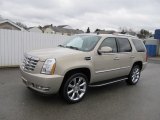 2009 Cadillac Escalade AWD