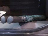 2009 Bentley Brooklands  Umbrella
