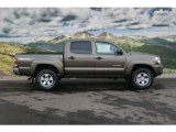 Pyrite Mica Toyota Tacoma in 2012