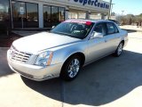 2010 Cadillac DTS 