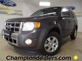 2012 Sterling Gray Metallic Ford Escape Limited V6 #59669195