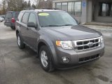 2009 Sterling Grey Metallic Ford Escape XLT V6 #59689359