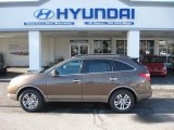 2012 Sahara Bronze Hyundai Veracruz Limited #59689075