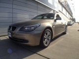 2009 Platinum Bronze Metallic BMW 5 Series 528xi Sedan #59689032