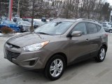 Chai Bronze Hyundai Tucson in 2011