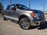Sterling Gray Metallic Ford F150 in 2012
