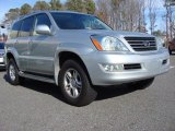 2006 Titanium Metallic Lexus GX 470 #59738928