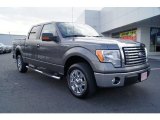 2010 Sterling Grey Metallic Ford F150 XLT SuperCrew #59739129