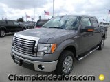 2012 Sterling Gray Metallic Ford F150 XLT SuperCrew #59738810