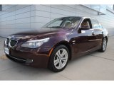 2009 Barbera Red Metallic BMW 5 Series 528xi Sedan #59797167