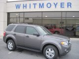 2012 Sterling Gray Metallic Ford Escape XLT V6 4WD #59860407