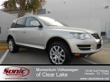 2009 Reflex Silver Metallic Volkswagen Touareg 2 VR6 #59860773