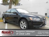 2012 Volkswagen Passat 2.5L SE