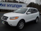 2009 Hyundai Santa Fe Limited 4WD