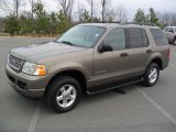 2004 Mineral Grey Metallic Ford Explorer XLT 4x4 #59860538