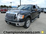 2011 Tuxedo Black Metallic Ford F150 XLT SuperCrew #59859274