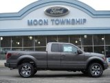 2012 Sterling Gray Metallic Ford F150 FX4 SuperCab 4x4 #59859920