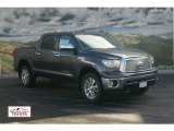 2012 Magnetic Gray Metallic Toyota Tundra Platinum CrewMax 4x4 #59980907