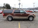 Golden Bronze Metallic Ford Expedition in 2011
