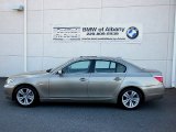 2009 Platinum Bronze Metallic BMW 5 Series 528i Sedan #60111617