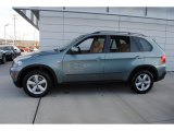 Mineral Green Metallic BMW X5 in 2009