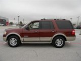 Dark Copper Metallic Ford Expedition in 2007