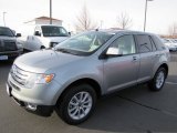 Pewter Metallic Ford Edge in 2007