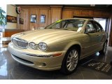 2006 Jaguar X-Type Winter Gold Metallic