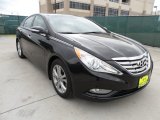2012 Midnight Black Hyundai Sonata Limited #60181587