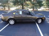 2006 Ford Fusion Charcoal Beige Metallic