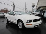 2009 Performance White Ford Mustang V6 Coupe #60181185