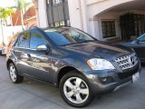 2010 Mercedes-Benz ML 350