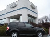 2009 Black Ford Escape XLT V6 4WD #60232793