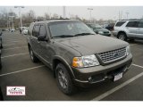 2002 Mineral Grey Metallic Ford Explorer Limited 4x4 #60232738